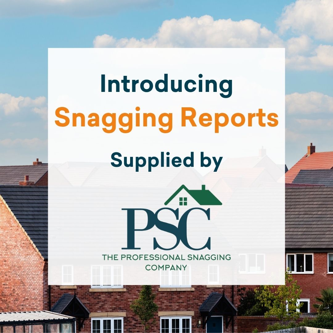 Introducing Snagging Reports 